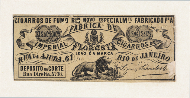 vizualizar o documento on line